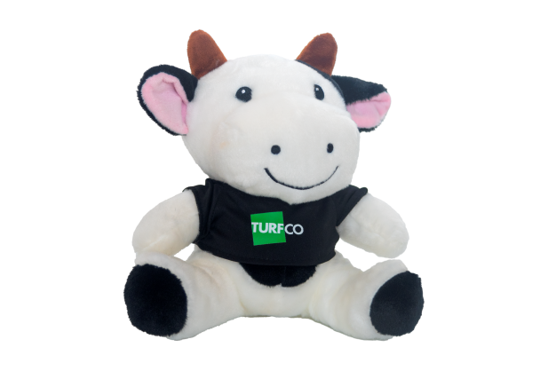 Turfco Cows